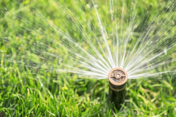 Professional Spigot Installation