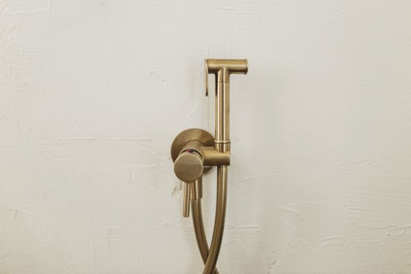 Professional Bidet Plumbing