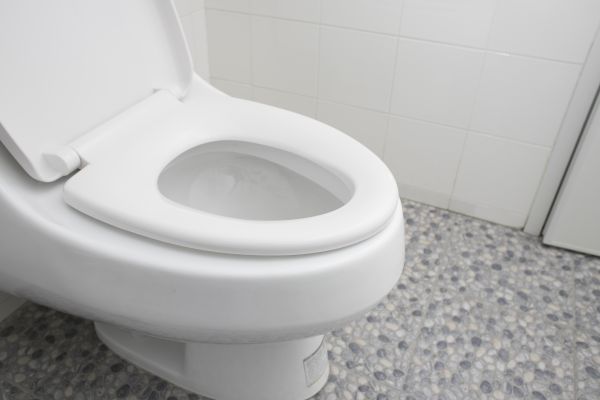 Professional New Toilet Installation