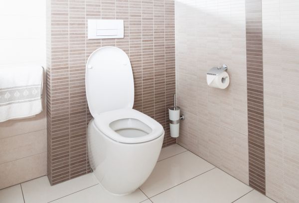 Professional Toilet Plumbing Installation
